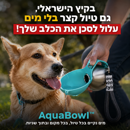 AquaBowl™ - הפתרון למניעת התייבשות של הכלב בחום הכבד