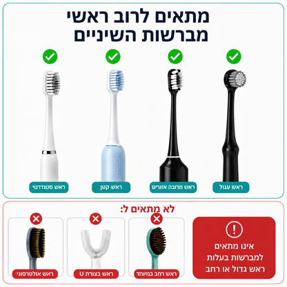 BrushSpa™ – הסוף למברשת רטובה ומלאת חיידקים